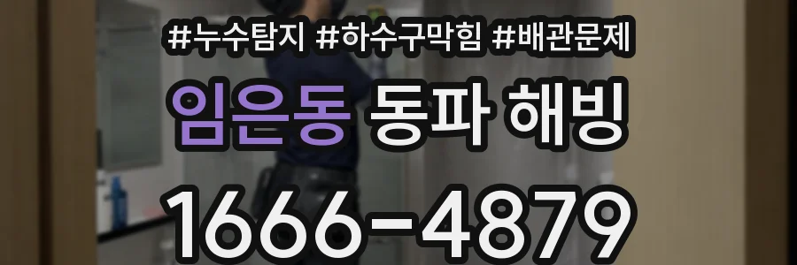 임은동 동파 해빙