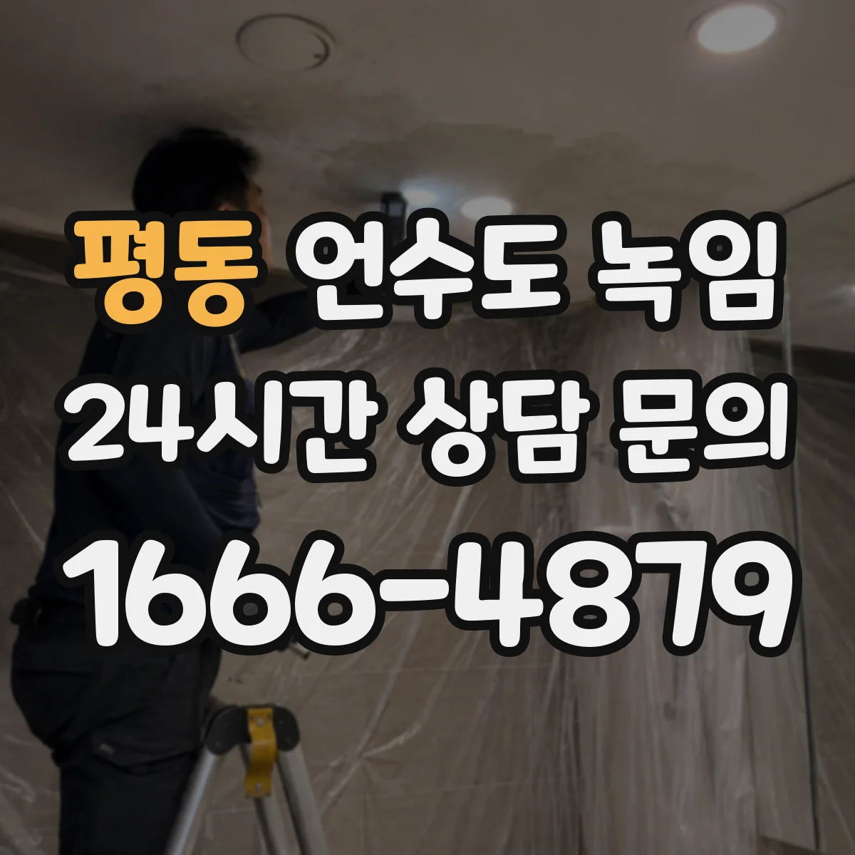 평동 언수도 녹임