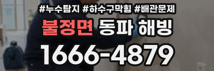 불정면 동파 해빙