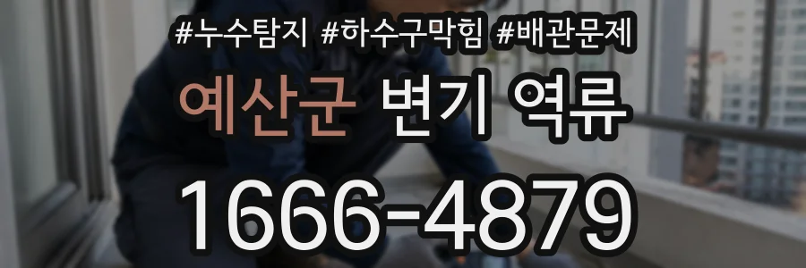 예산군 변기 역류