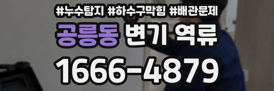 공릉동 변기 역류