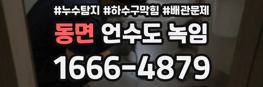 동면 언수도 녹임