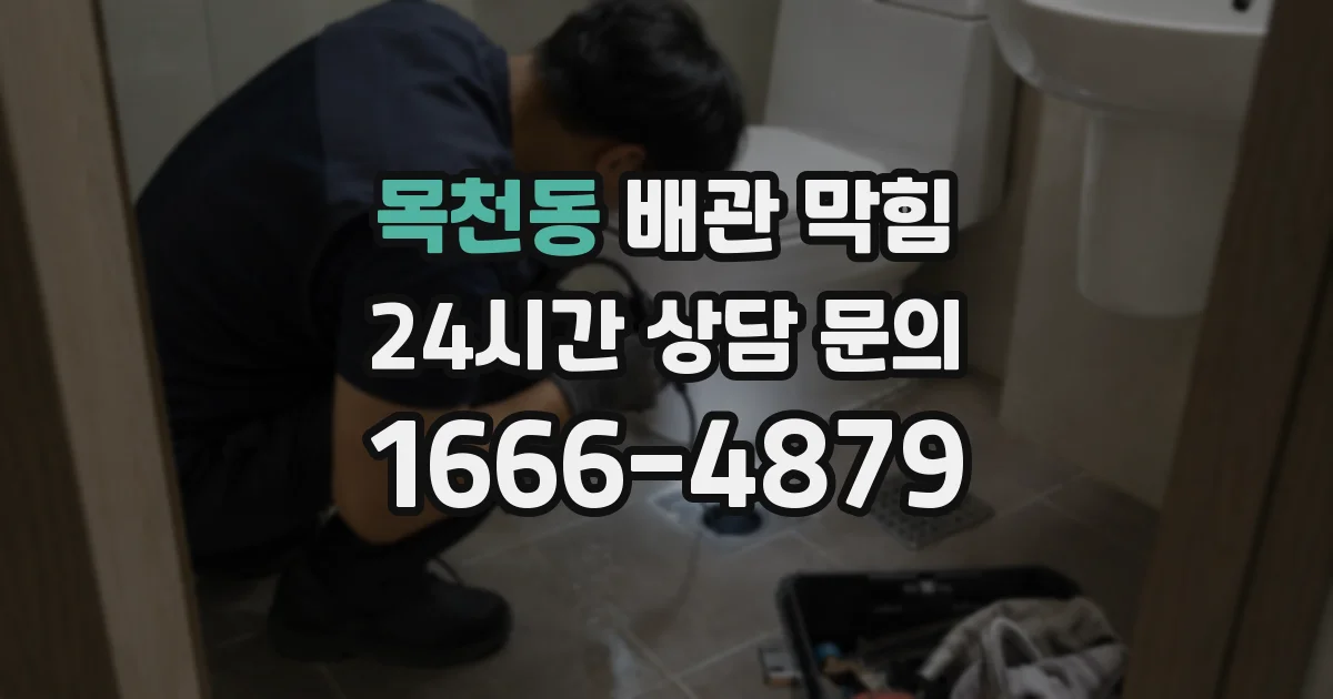 목천동 배관 막힘