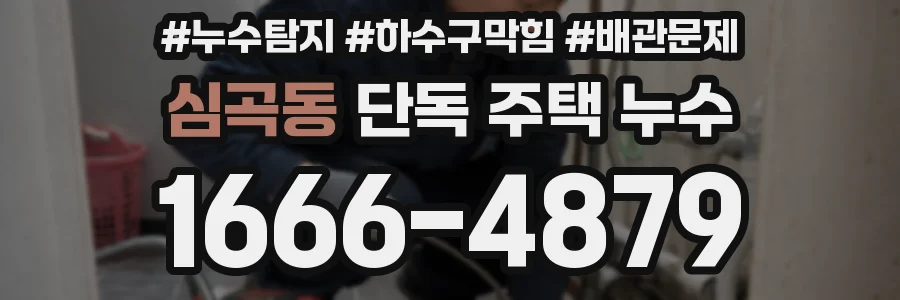 심곡동 단독 주택 누수