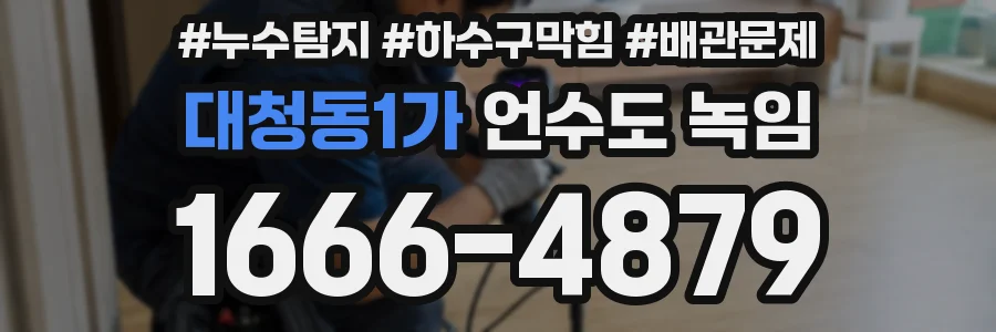 대청동1가 언수도 녹임