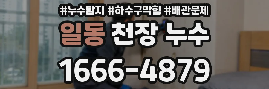 일동 천장 누수