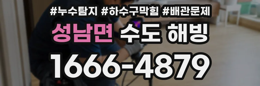 성남면 수도 해빙