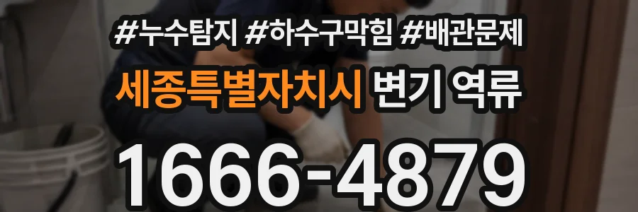 세종특별자치시 변기 역류