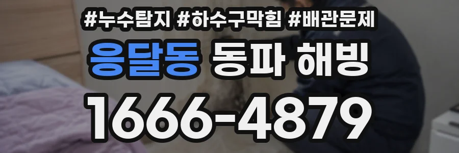 응달동 동파 해빙