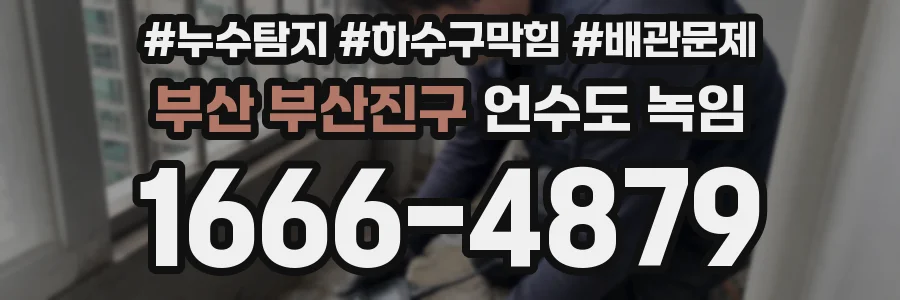부산 부산진구 언수도 녹임
