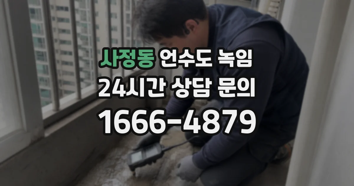 사정동 언수도 녹임