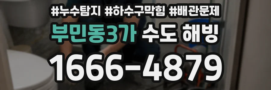 부민동3가 수도 해빙