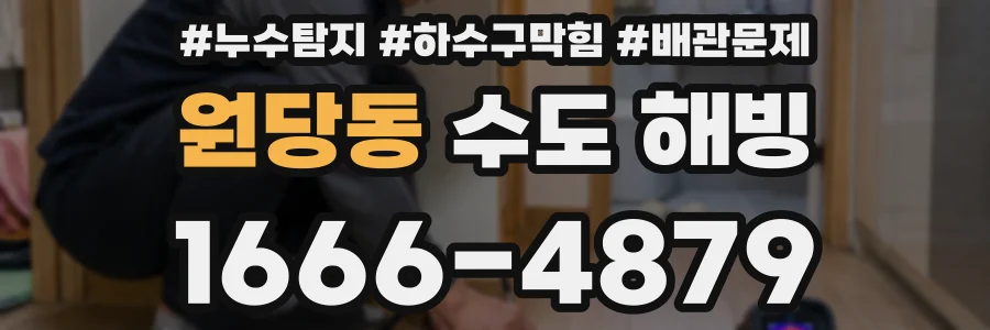 원당동 수도 해빙