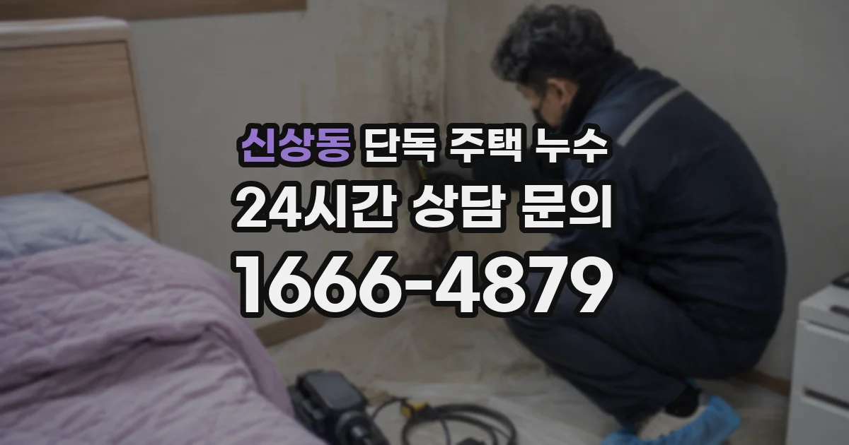 신상동 단독 주택 누수