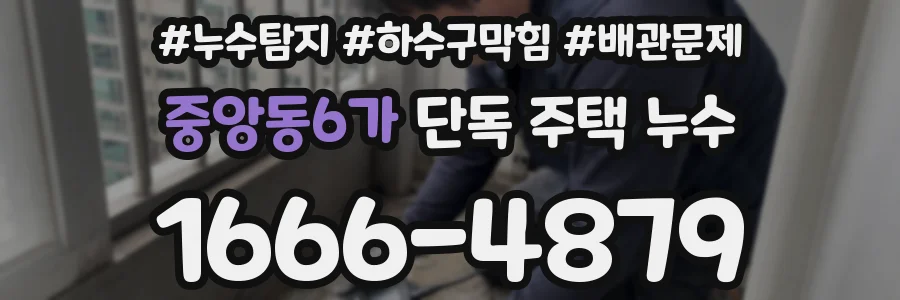중앙동6가 단독 주택 누수
