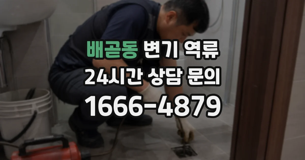 배곧동 변기 역류