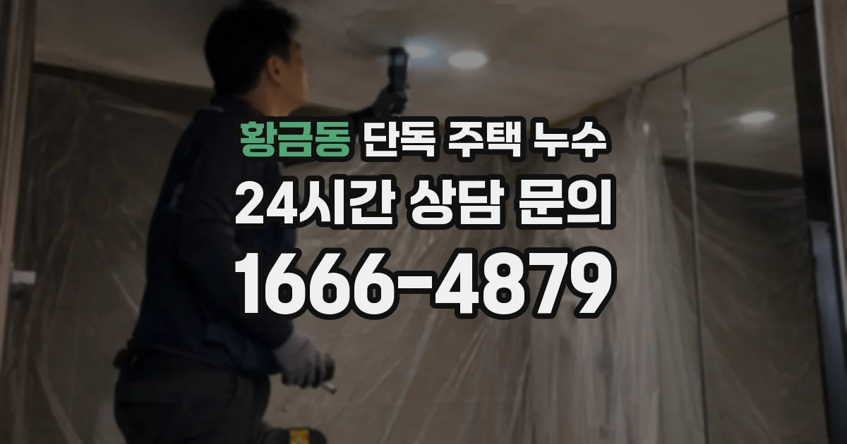 황금동 단독 주택 누수