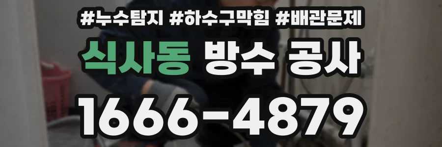 식사동 방수 공사