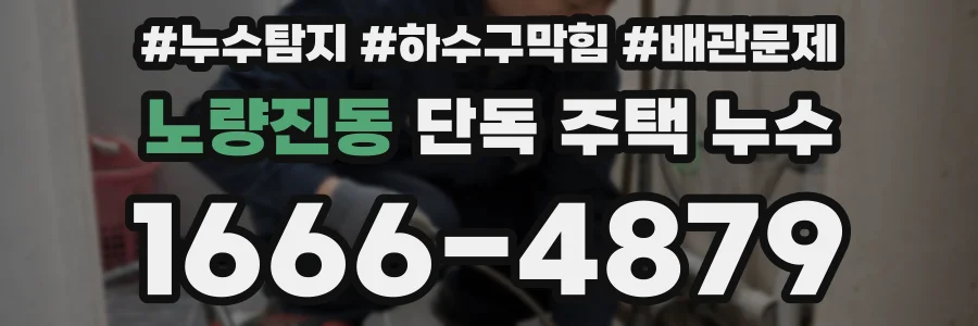 노량진동 단독 주택 누수