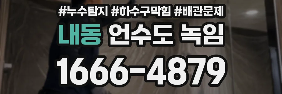 내동 언수도 녹임