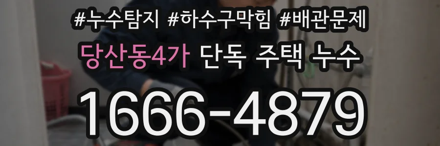 당산동4가 단독 주택 누수