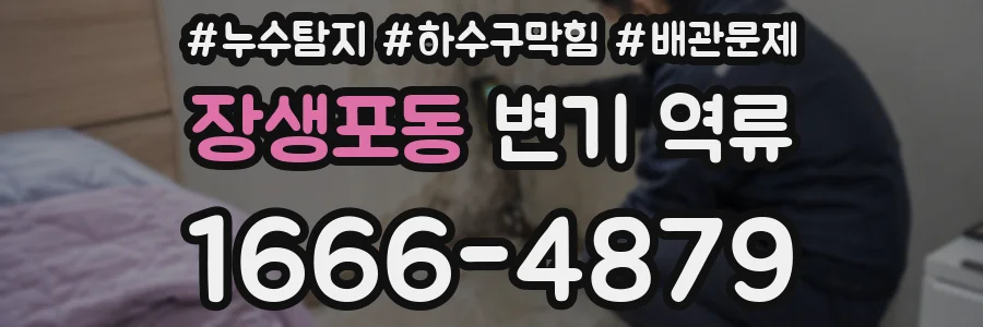 장생포동 변기 역류