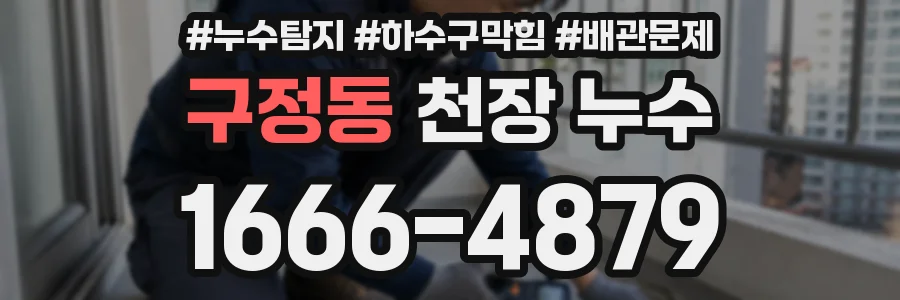 구정동 천장 누수