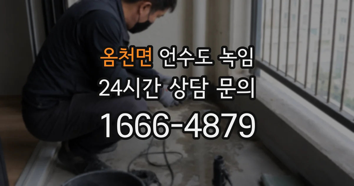 옴천면 언수도 녹임