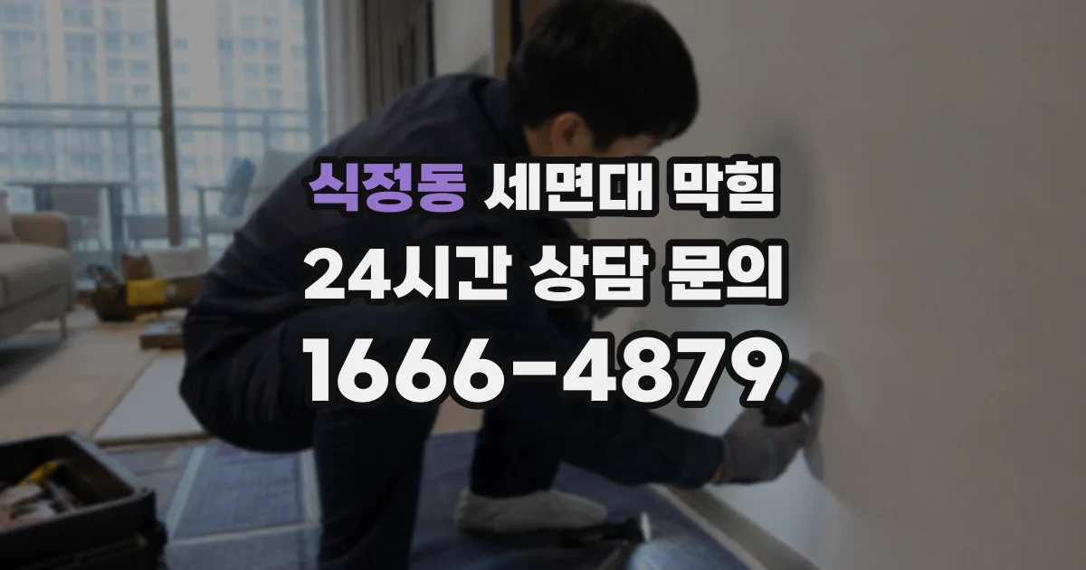 식정동 세면대 막힘