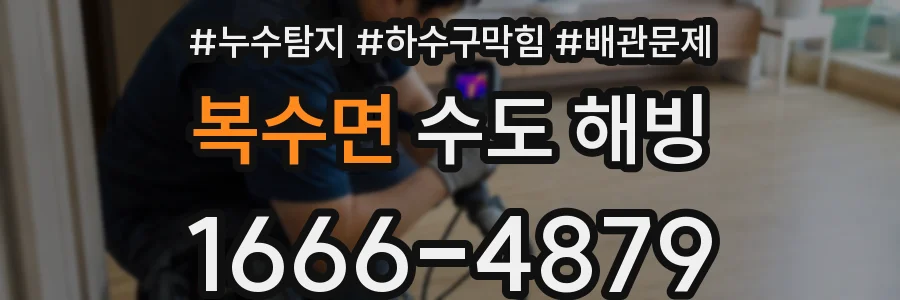 복수면 수도 해빙