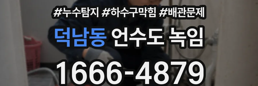 덕남동 언수도 녹임