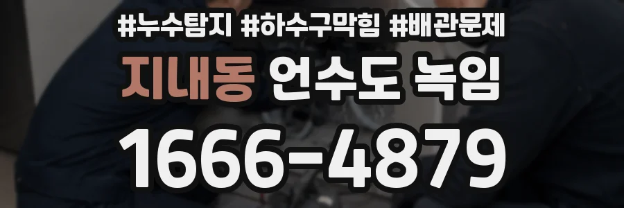 지내동 언수도 녹임