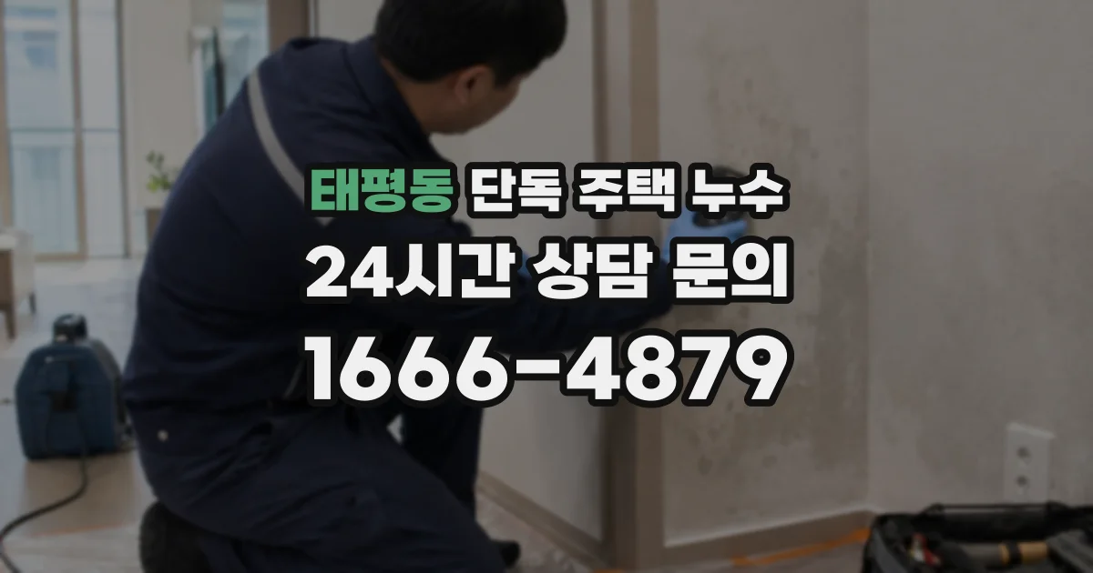 태평동 단독 주택 누수