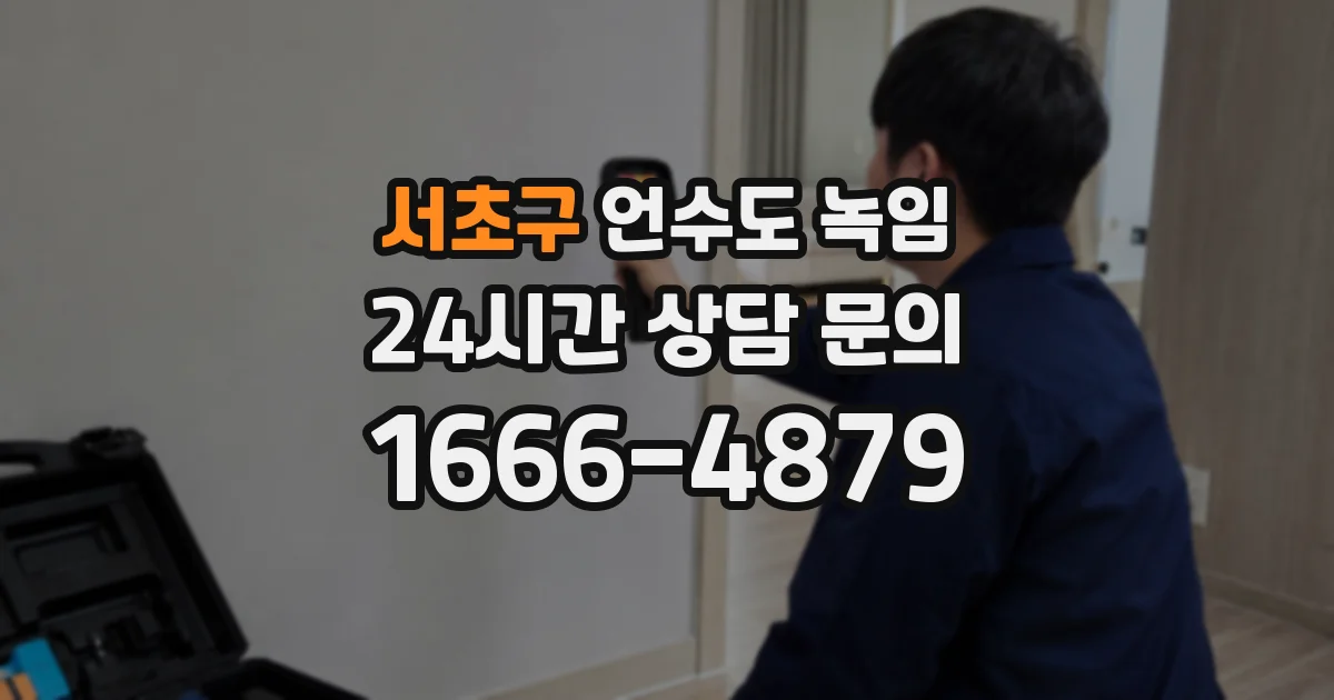서초구 언수도 녹임