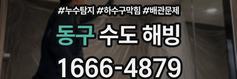 동구 수도 해빙