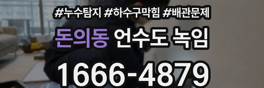돈의동 언수도 녹임