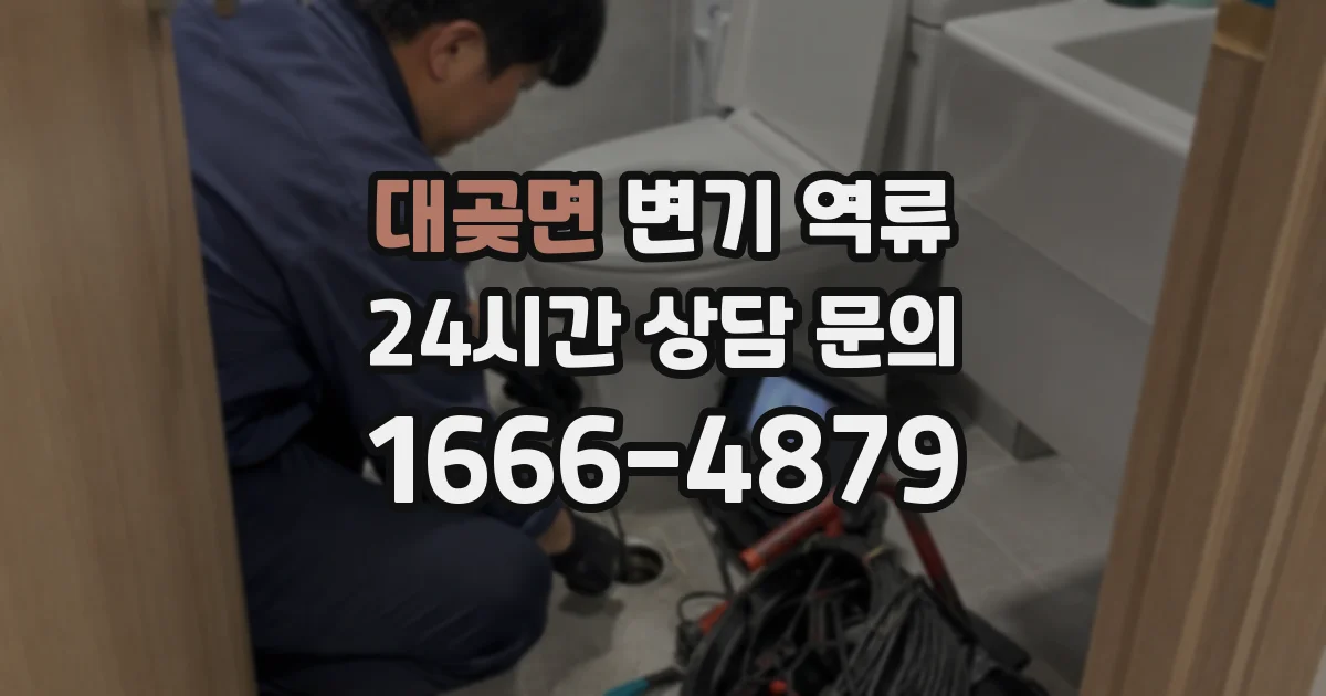 대곶면 변기 역류