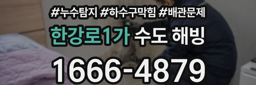 한강로1가 수도 해빙