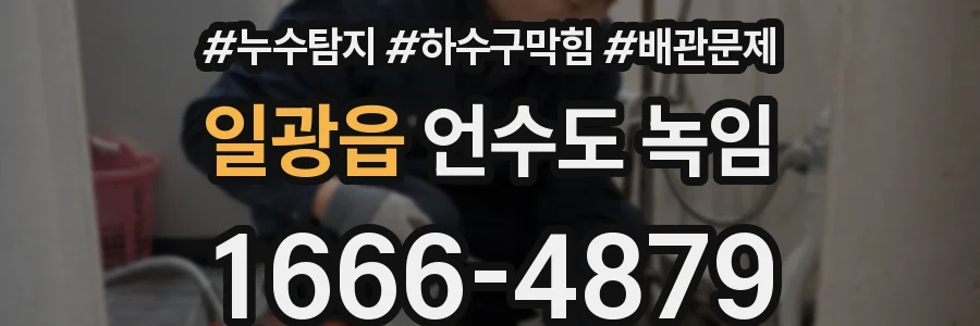 일광읍 언수도 녹임