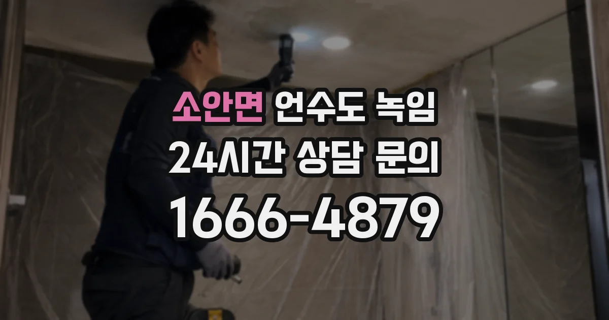 소안면 언수도 녹임