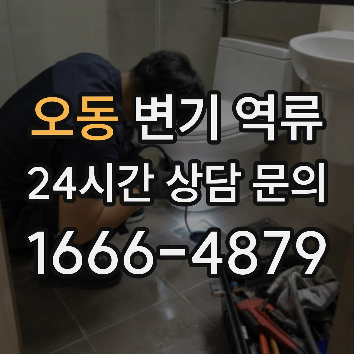 오동 변기 역류