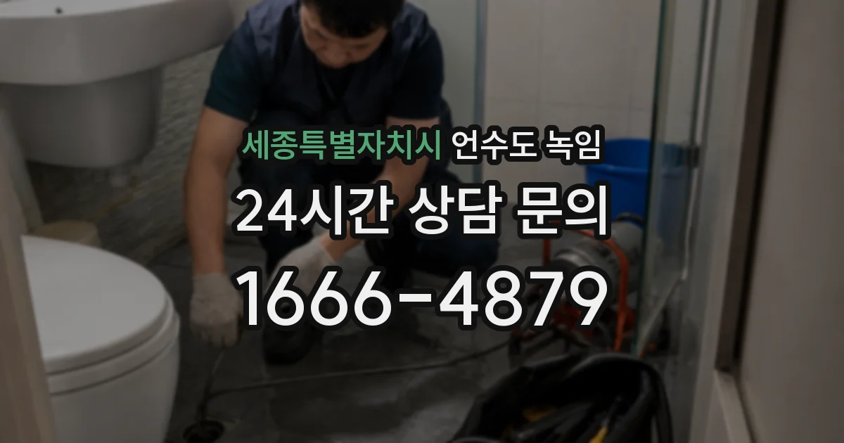 세종특별자치시 언수도 녹임