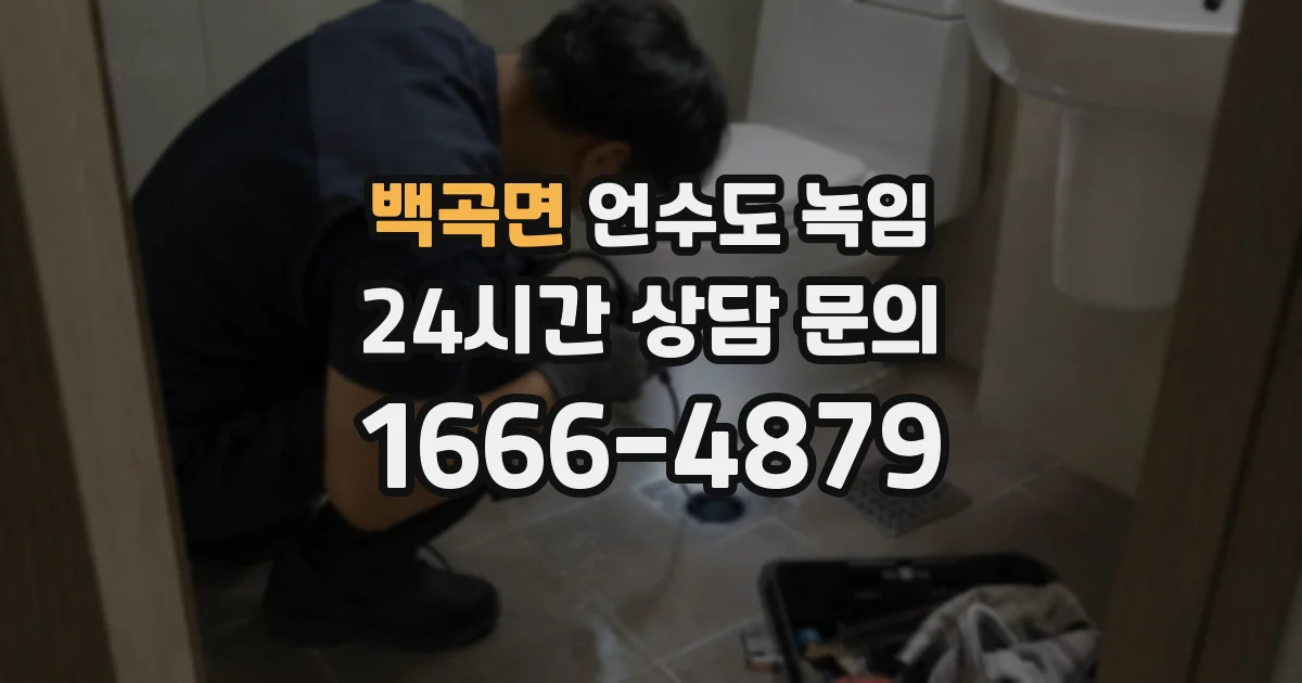 백곡면 언수도 녹임
