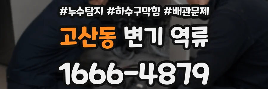 고산동 변기 역류