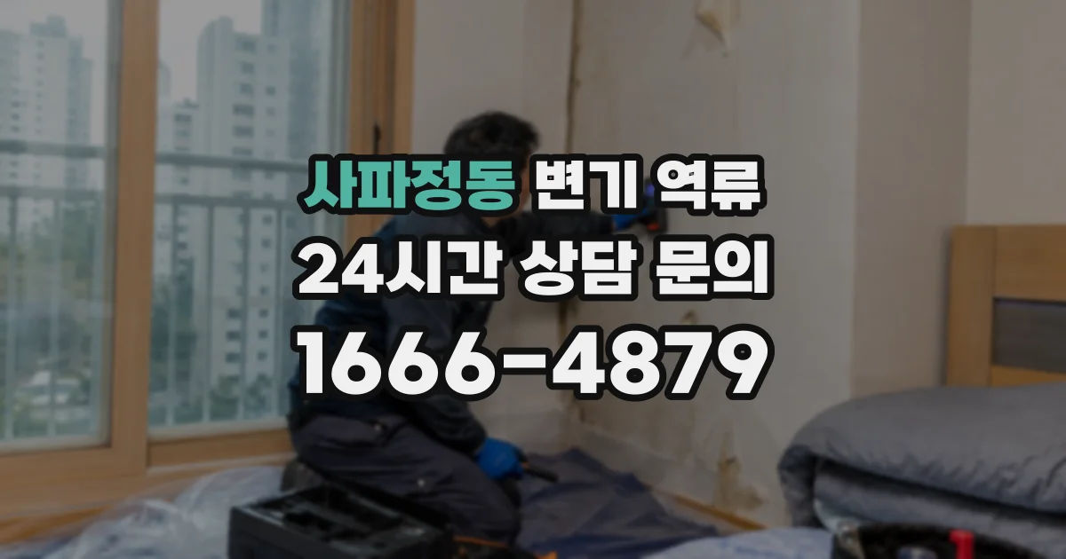 사파정동 변기 역류