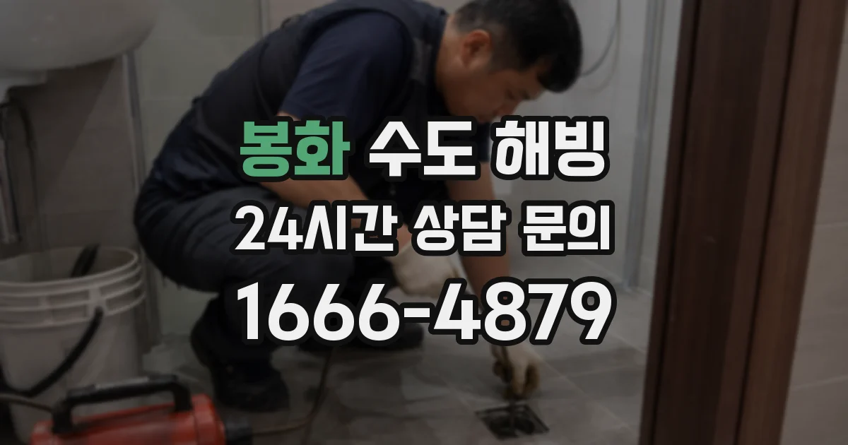 봉화 수도 해빙