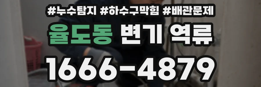 율도동 변기 역류