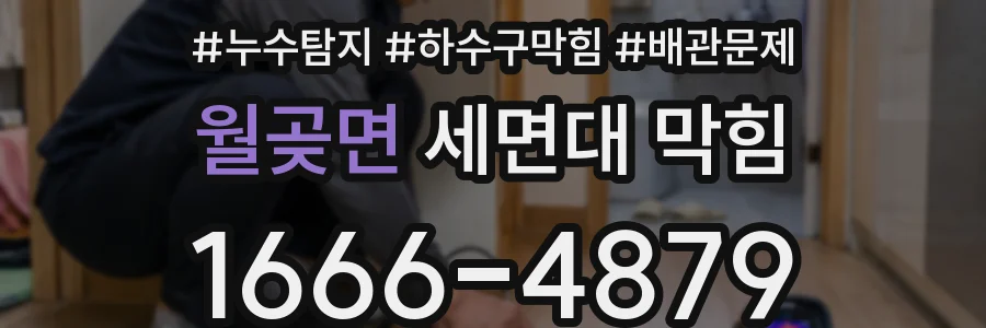 월곶면 세면대 막힘