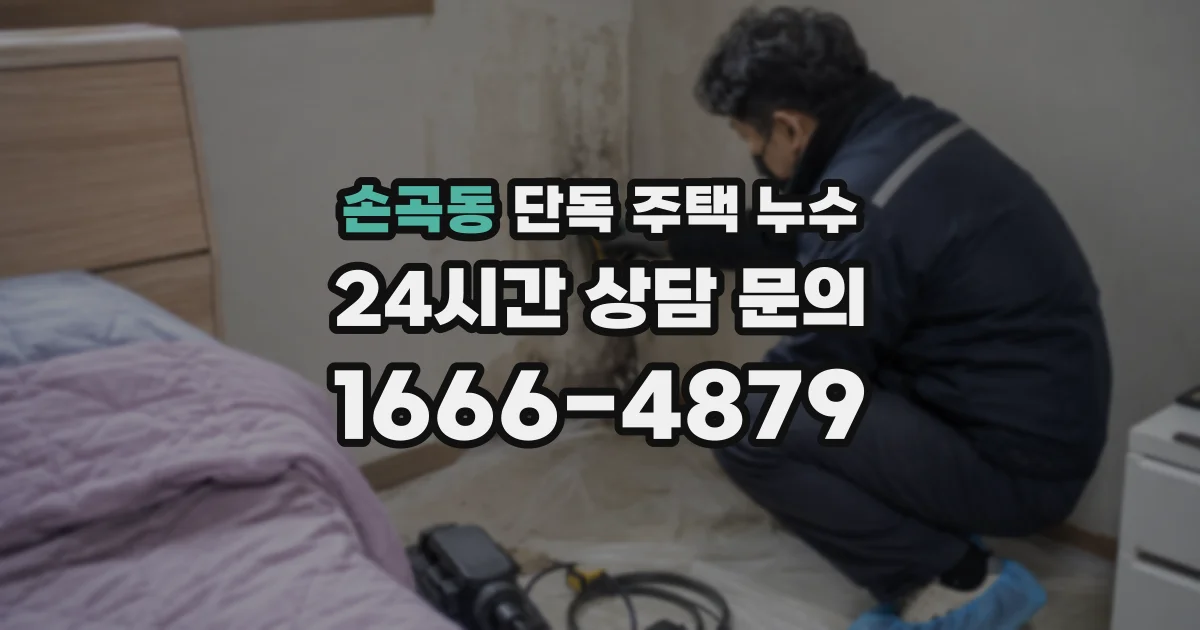 손곡동 단독 주택 누수