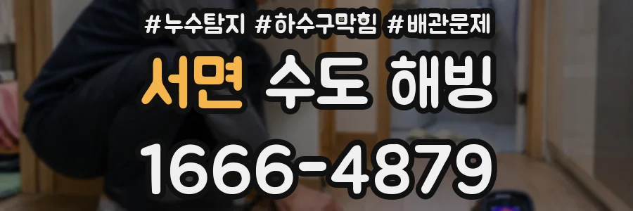 서면 수도 해빙